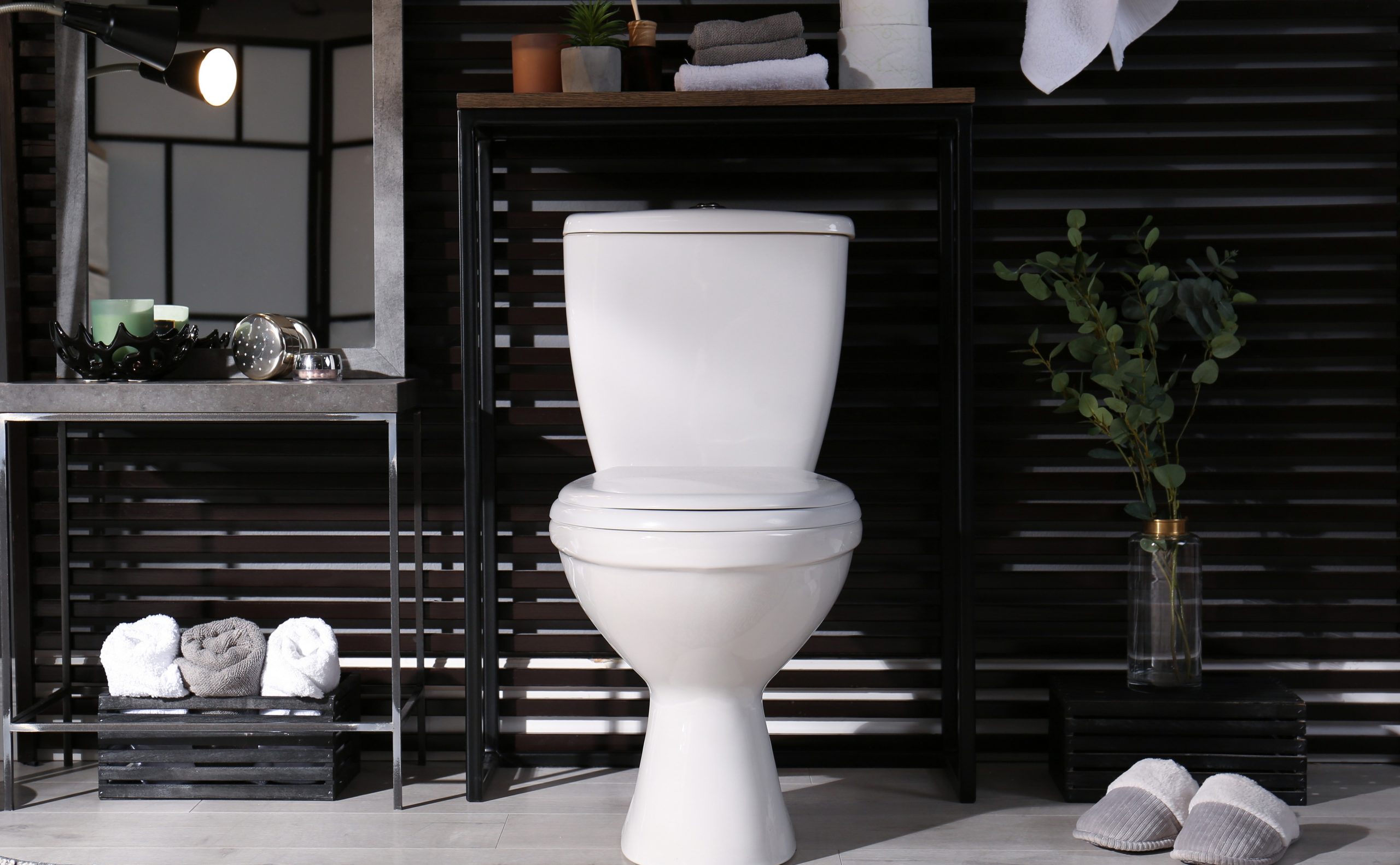 Comment transformer ses wc en espace déco ? by Drawer