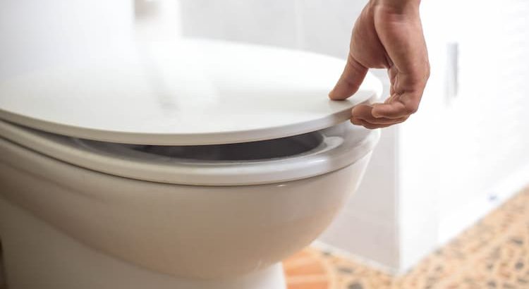 Abattant WC avec frein de chute : une solution hygiénique et confort