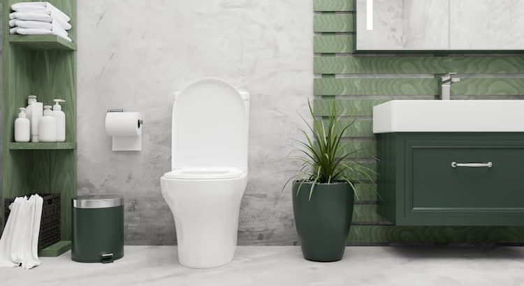 De quels accessoires avez-vous besoin dans vos toilettes ?