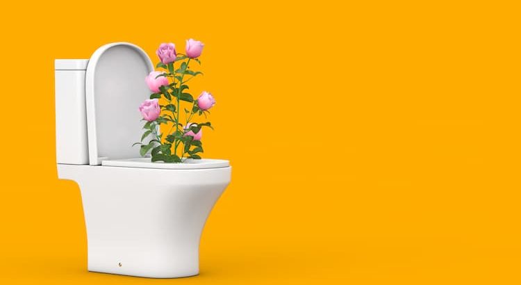 Les solutions pour un air frais dans les toilettes