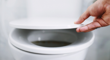 Comment réparer un abattant WC qui bouge ?