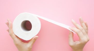 12 dérouleurs de papier toilette originaux. Quel sera le vôtre ?