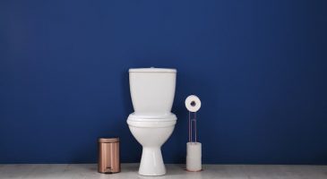 Comment habiller les murs de toilettes ?