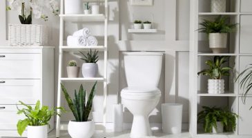 Des plantes pour les toilettes ? Oui, mais lesquelles ?