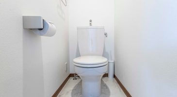 Petites toilettes : quelles couleurs éviter ?