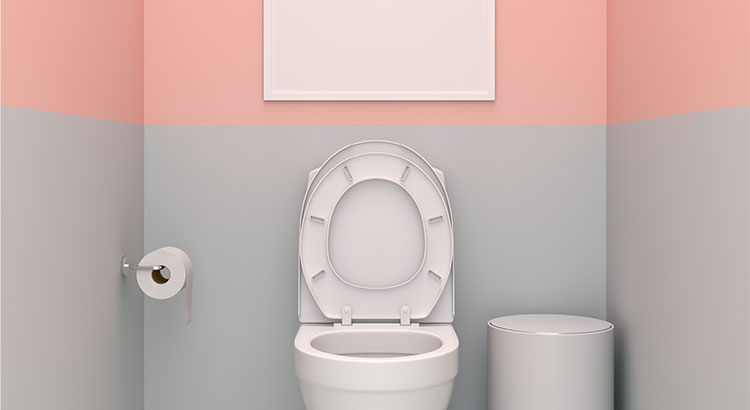 5 idées déco pas chères pour les toilettes
