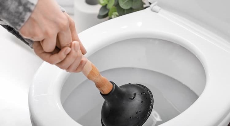 Comment déboucher un WC mécaniquement ?