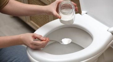 Comment nettoyer, détartrer et assainir ses toilettes naturellement ?