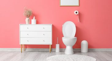 Peinture, carrelage ou papier-peint : que choisir pour habiller les murs de mes toilettes ?