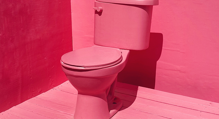 Les toilettes : pièce la plus “cool” de la maison ? 