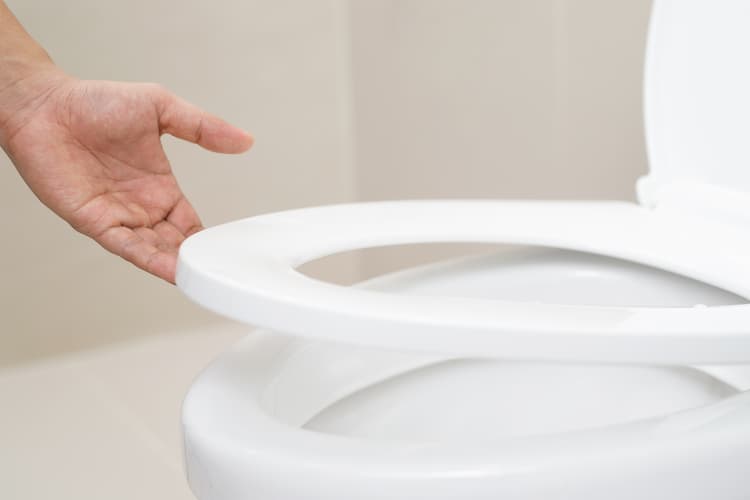 La lunette des wc outlet