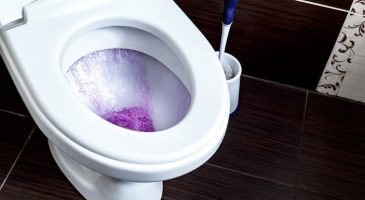 Toilettes : attention, micro-fuite, maxi-perte