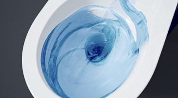 L'eau des toilettes tourne-t-elle vraiment à l'envers dans l'hémisphère sud ?