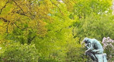 pourquoi-reflechit-on-mieux-aux-toilettes