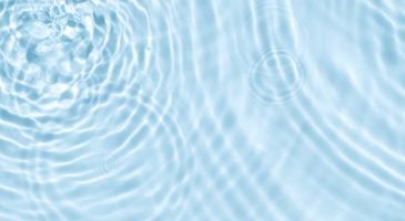 pourquoi-y-a-t-il-de-leau-dans-les-toilettes