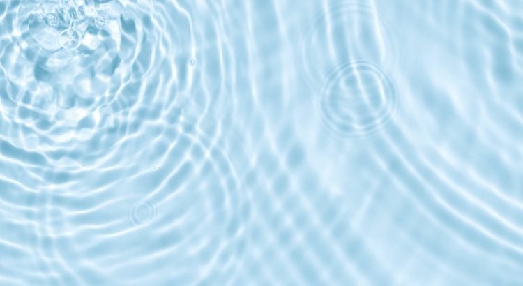 Pourquoi y a-t-il de l’eau dans les toilettes ?