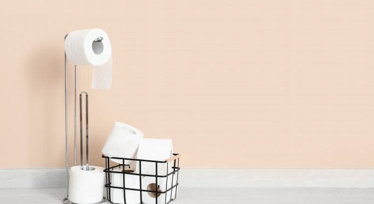 Dérouleur de papier toilette : comment le choisir ?