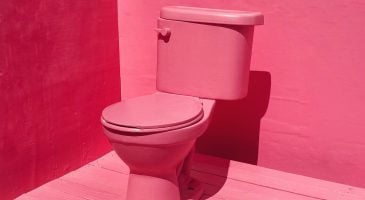 deco-les-toilettes-voient-la-vie-en-rose