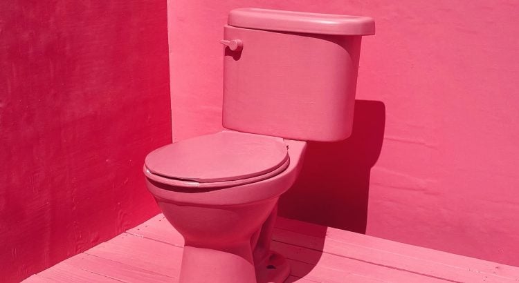 Déco : les toilettes voient la vie en rose